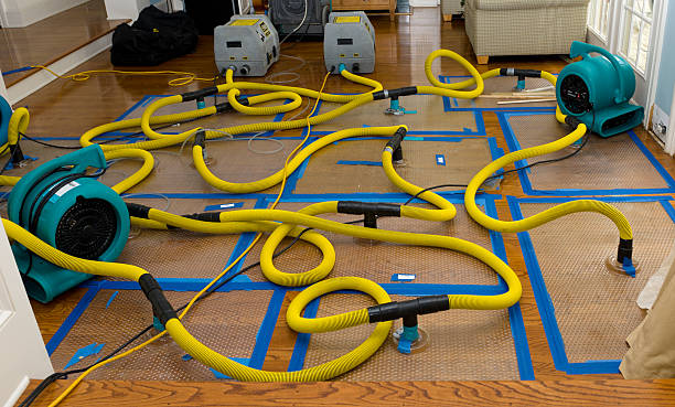 Professional Storm Water Damage Restoration technician working in Kingston, NJ