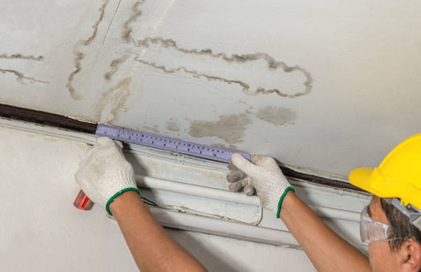 Affordable Water Damage Repair solutions in Kingston, NJ